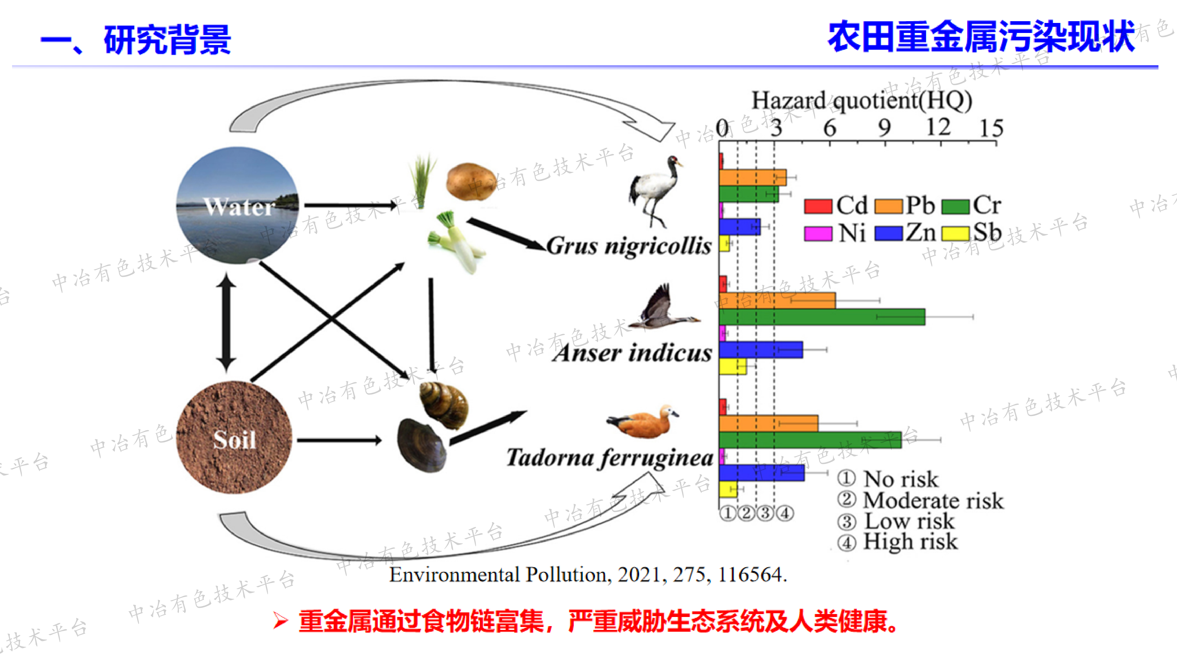 生物炭在修复植物根际微生物群落调控中的应用